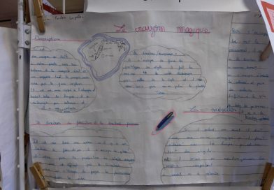 Les 5e lancent leur entreprise !